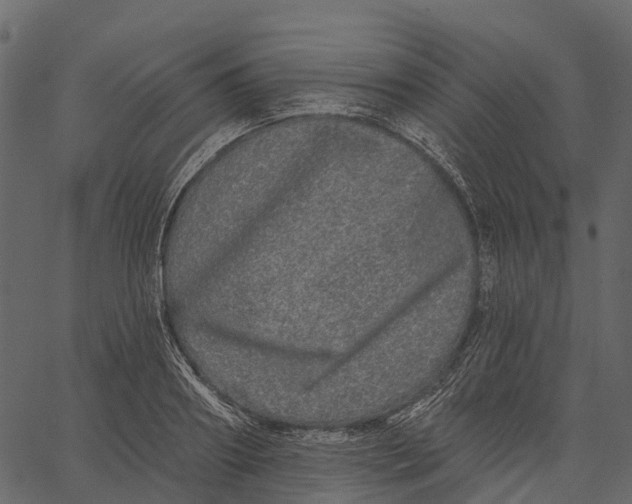 X0000062640890200601111123