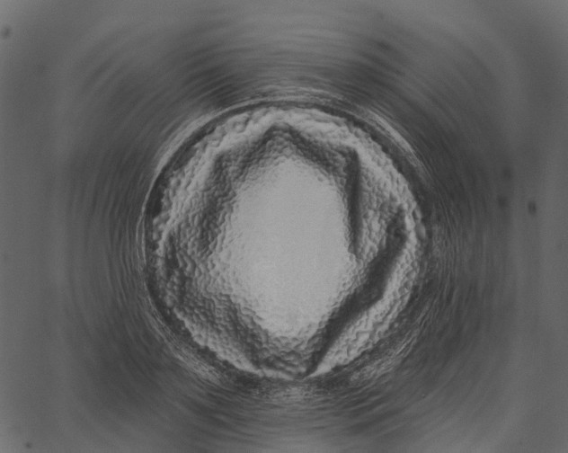 X0000062640891200601111123