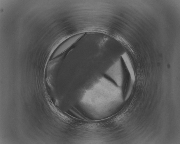 X0000062640892200601111123