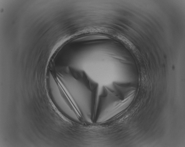 X0000062640894200601111123