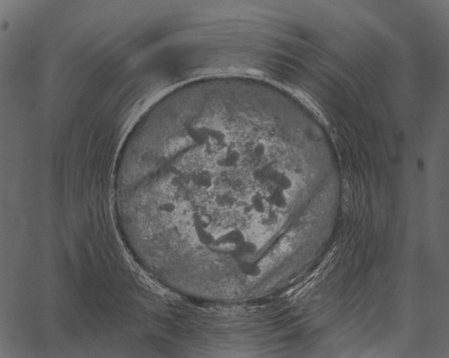 X0000062640895200601111123