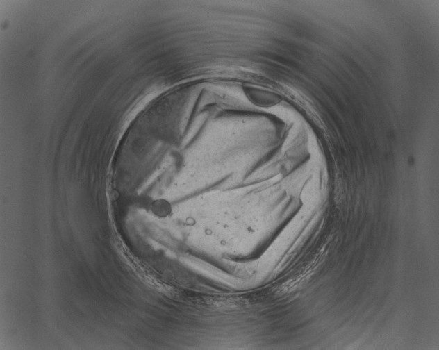 X0000062640899200601111123