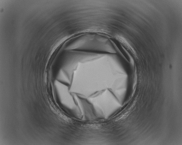 X0000062640900200601111123