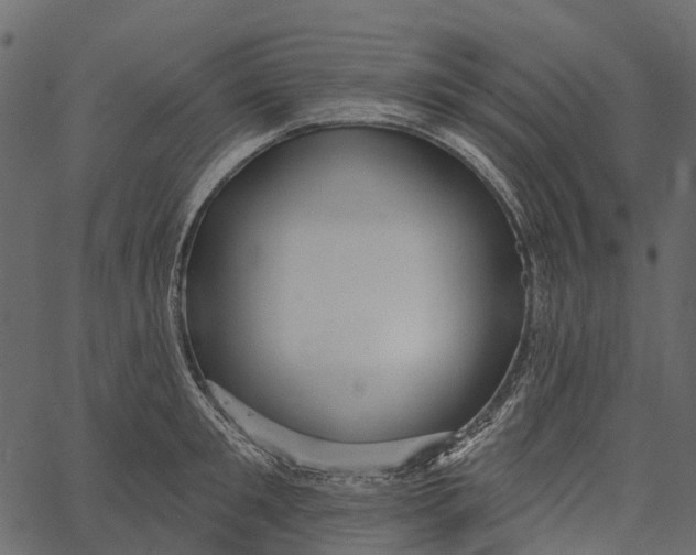 X0000062640901200601111123