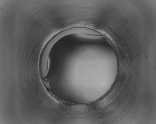 X0000062640902200601111123