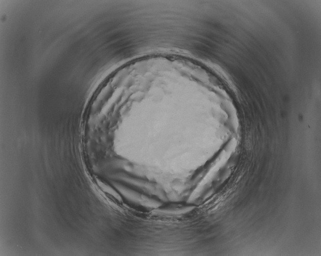 X0000062640903200601111123