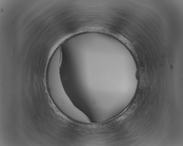 X0000062640904200601111123