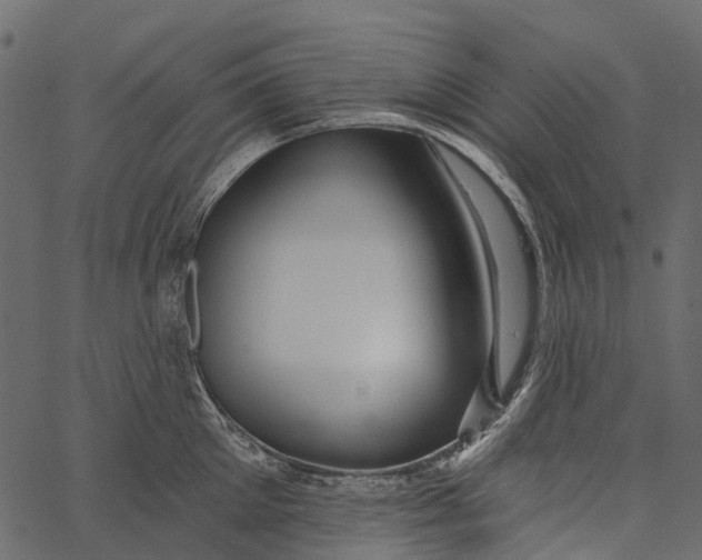 X0000062640905200601111123