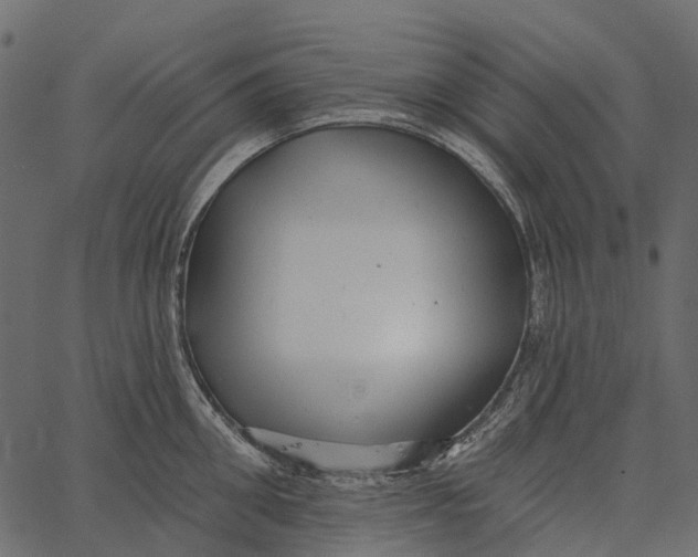 X0000062640906200601111123