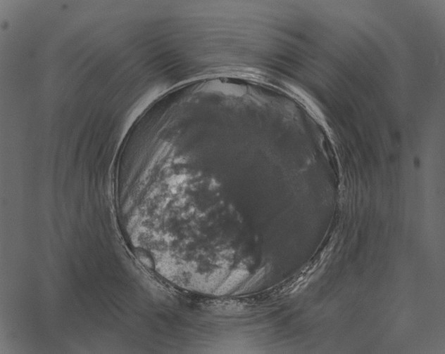 X0000062640907200601111123