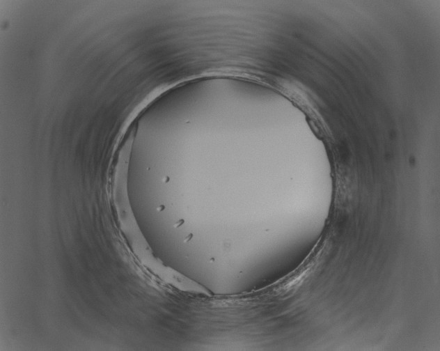 X0000062640908200601111123