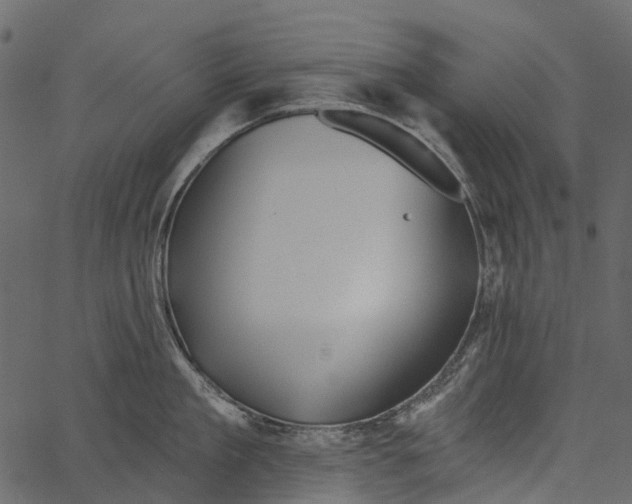 X0000062640909200601111122