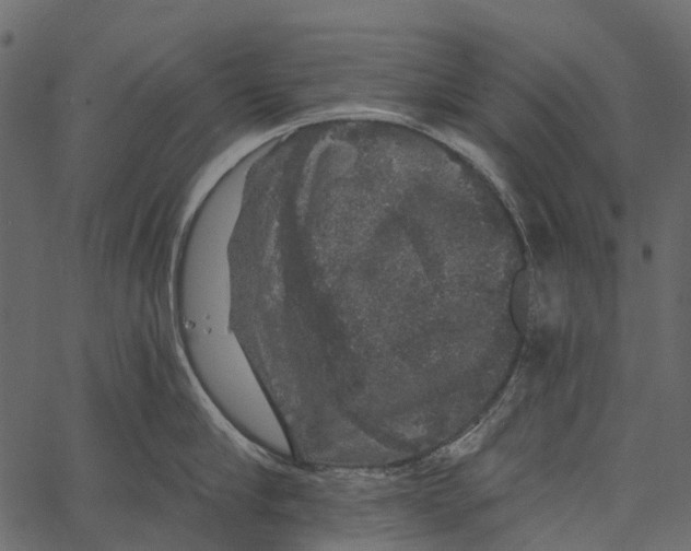 X0000062640910200601111122