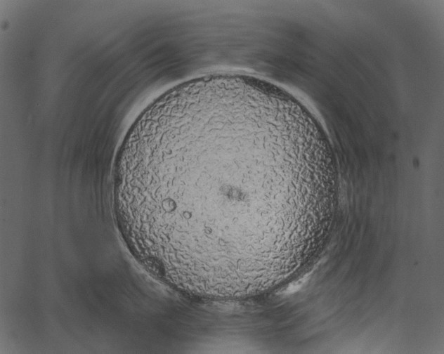 X0000062640911200601111122