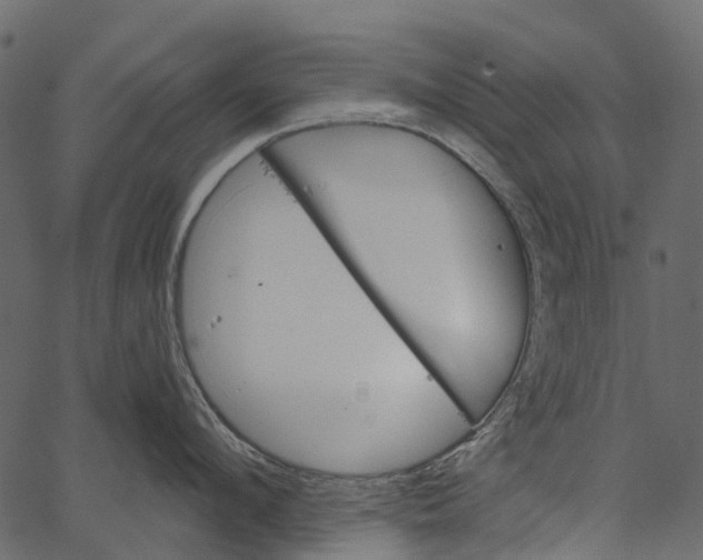 X0000062640912200601111122