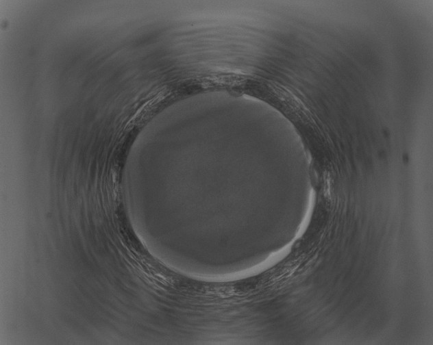 X0000062640915200601111122