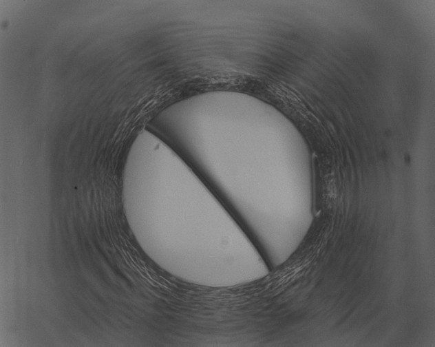 X0000062640916200601111122