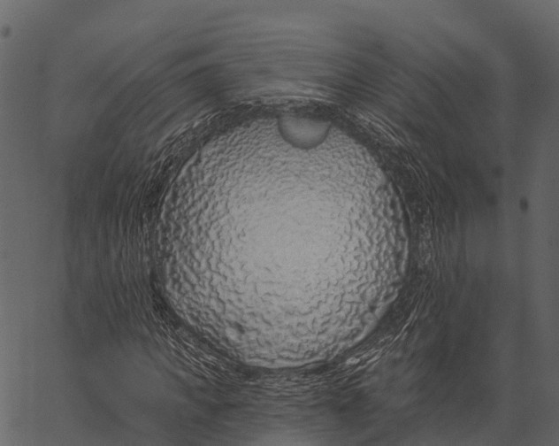 X0000062640917200601111122