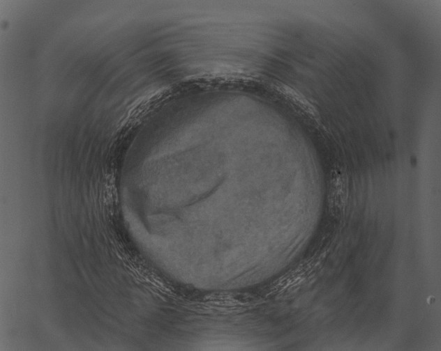 X0000062640918200601111122