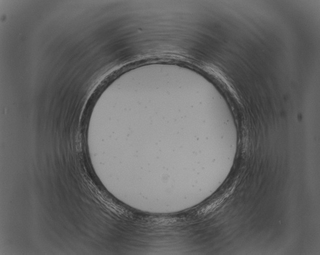 X0000062640924200601111122