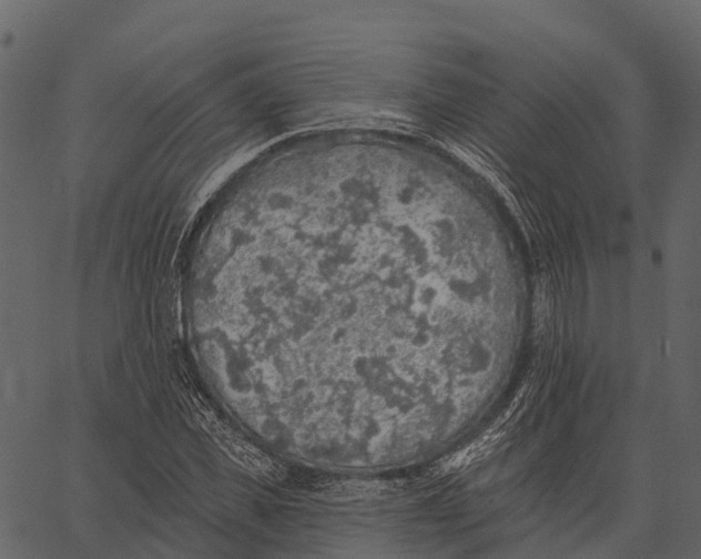 X0000062640925200601111122