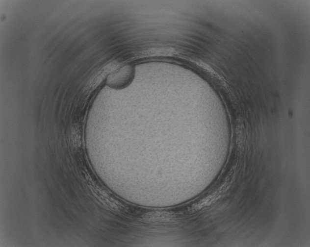 X0000062640929200601111122