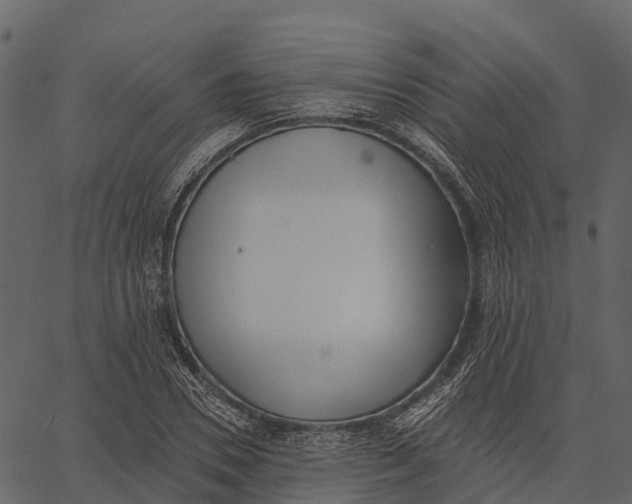 X0000062640930200601111122