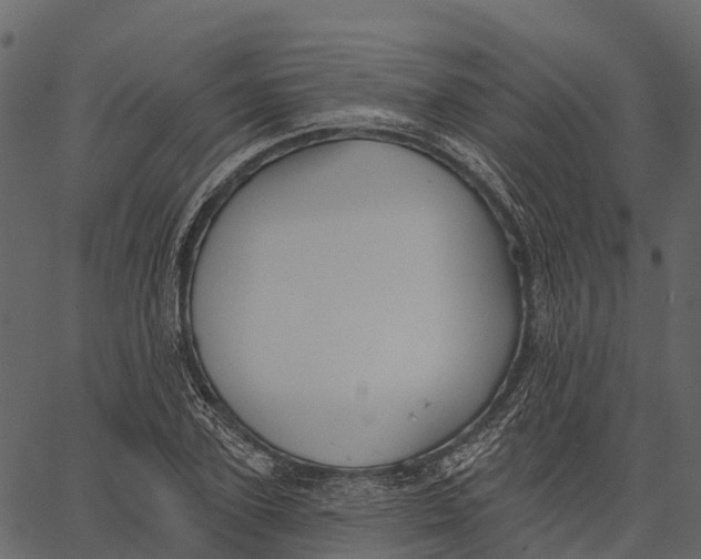 X0000062640931200601111122