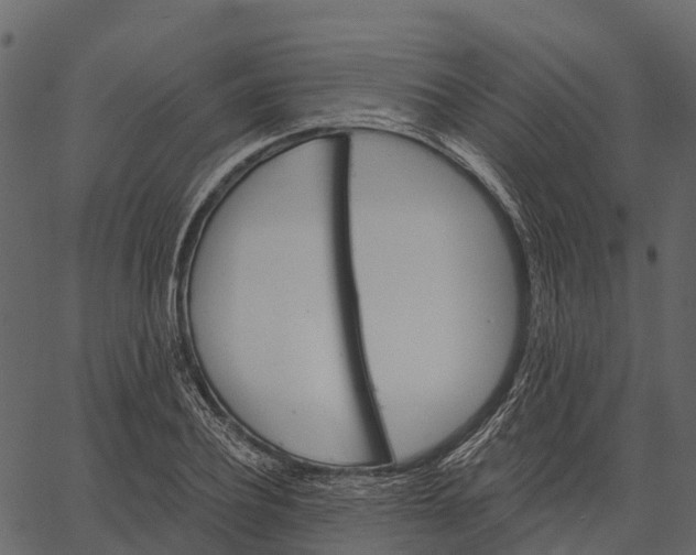 X0000062640932200601111122