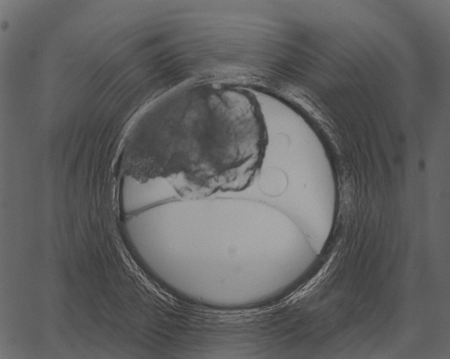 X0000062640933200601111122