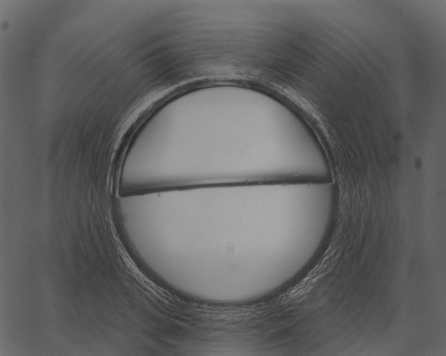 X0000062640935200601111122