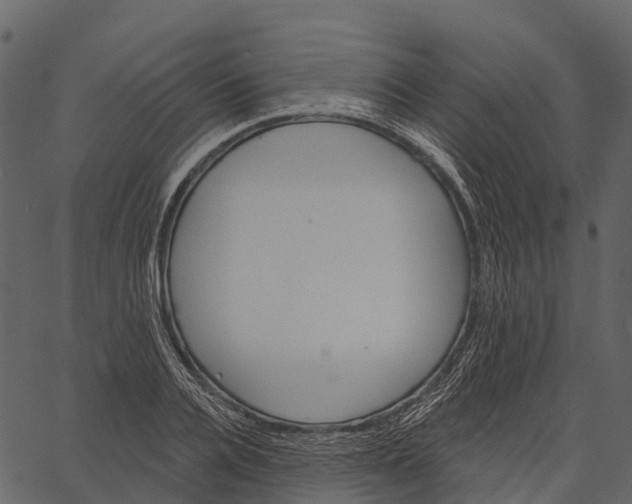 X0000062640936200601111122