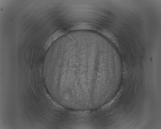 X0000062640937200601111122