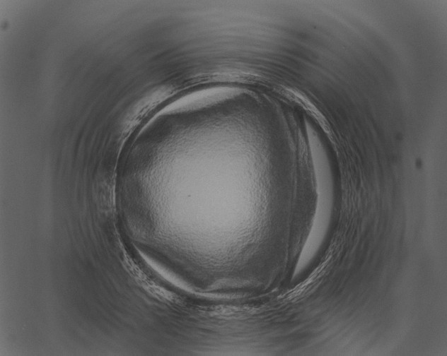 X0000062640938200601111122