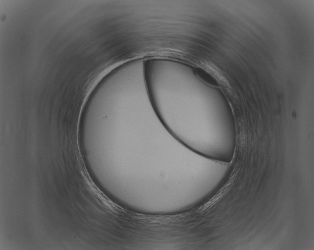 X0000062640940200601111122