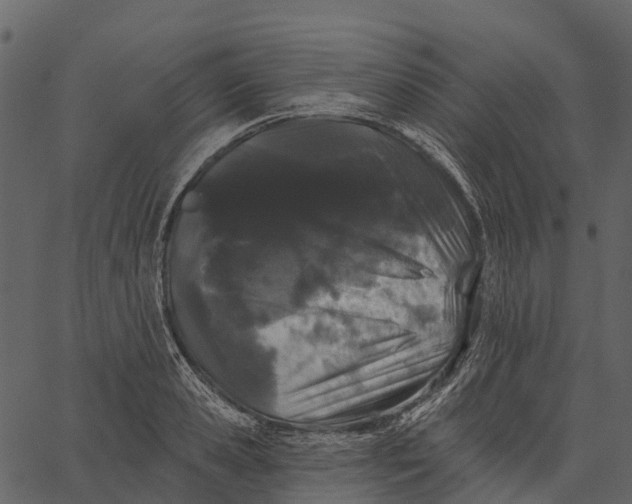 X0000062640941200601111122