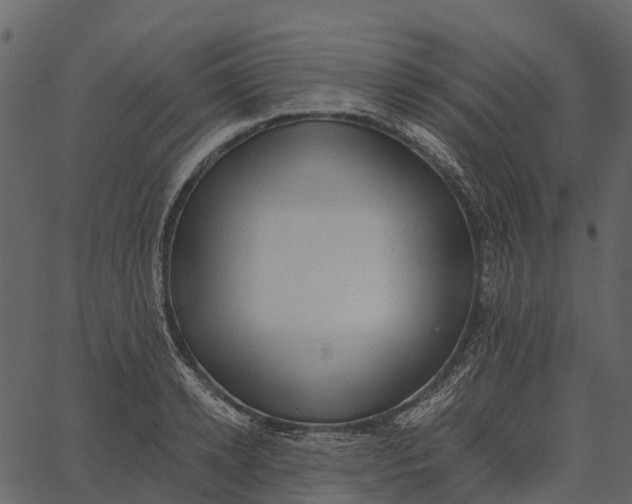 X0000062640942200601111122