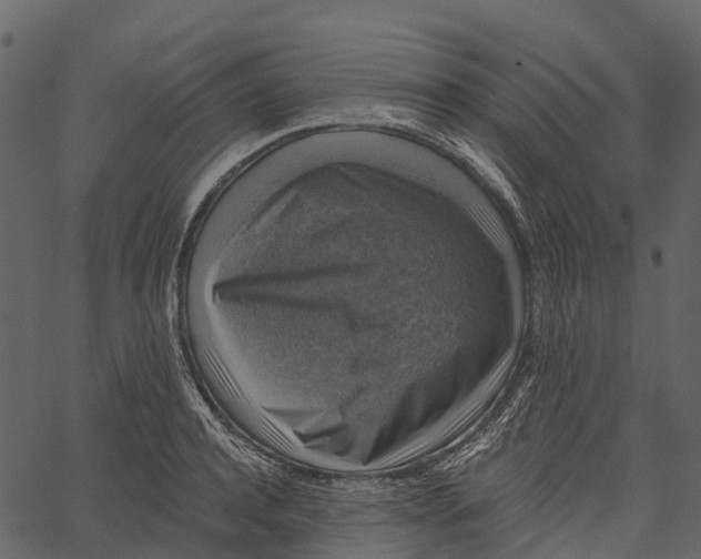 X0000062640944200601111122