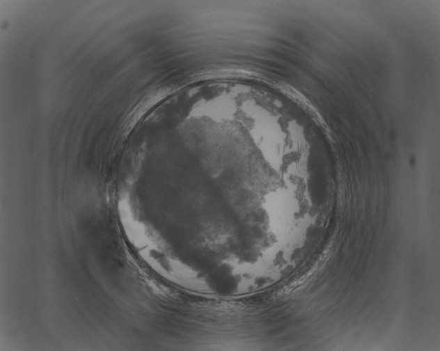 X0000062640945200601111122