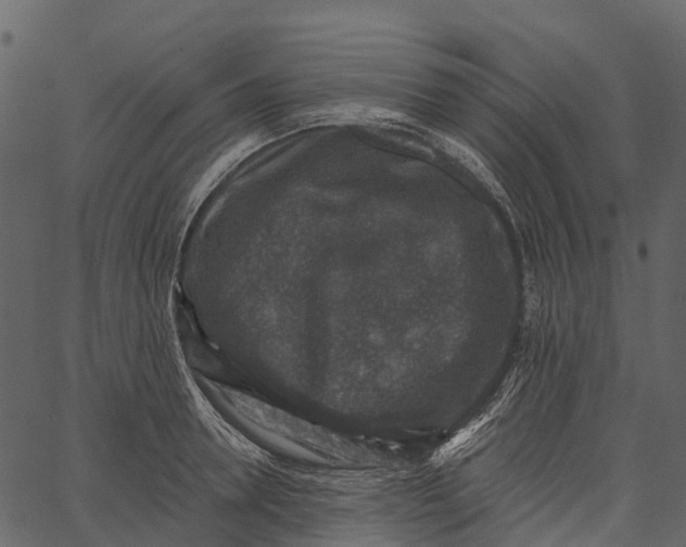 X0000062640946200601111122