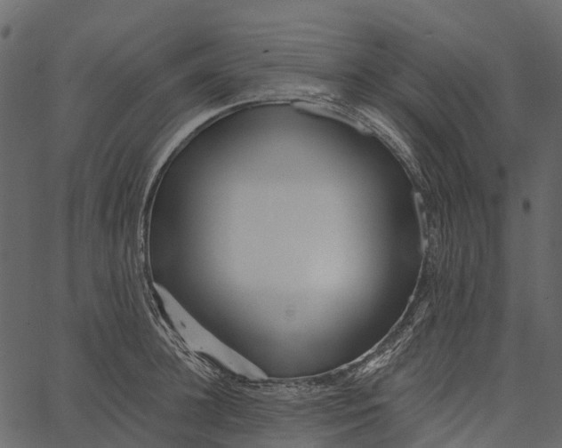 X0000062640948200601111122