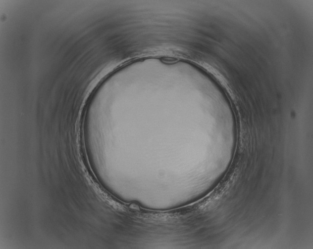 X0000062640949200601111122