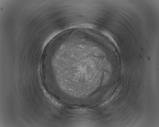 X0000062640952200601111122