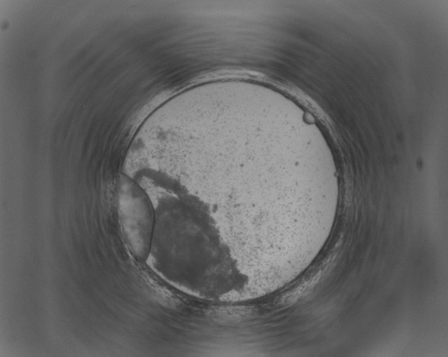 X0000062640953200601111122