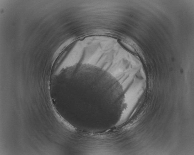 X0000062640954200601111122