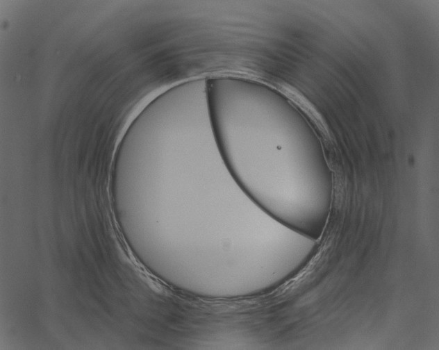 X0000062640956200601111122