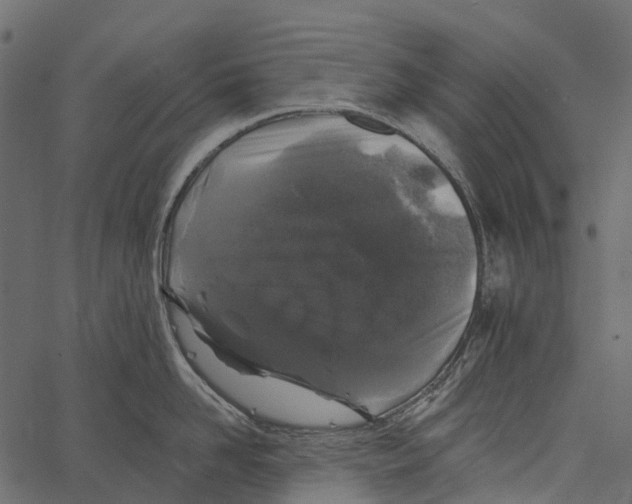 X0000062640958200601111122