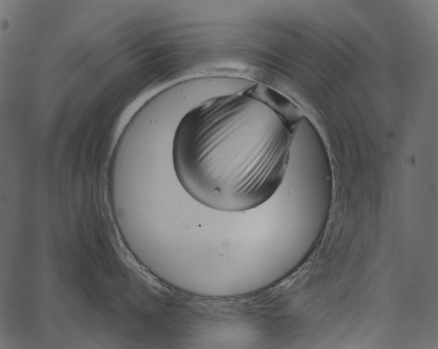 X0000062640960200601111122