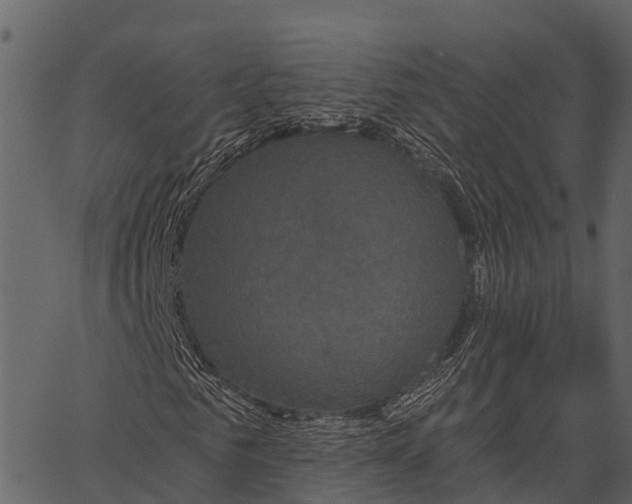 X0000062640961200601111122