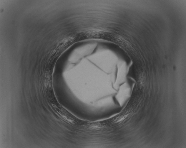 X0000062640964200601111121